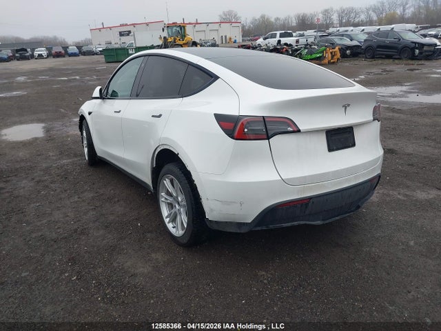 Продаж на аукціоні авто 2023 Tesla Model Y Rwd, vin: LRWYGDFD0PC902766, номер лоту: 12585366