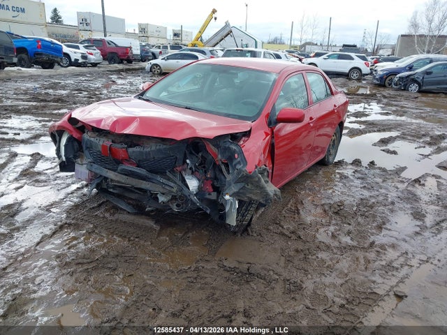 2009 Toyota Corolla Ce მანქანა იყიდება აუქციონზე, vin: 2T1BU40E39C078176, აუქციონის ნომერი: 12585437