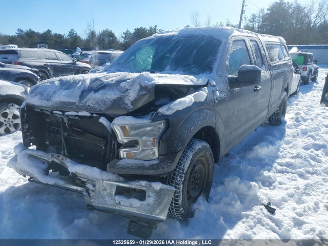2017 Ford F-150 Xlt მანქანა იყიდება აუქციონზე, vin: 1FTEX1EF9HKD04688, აუქციონის ნომერი: 12525659