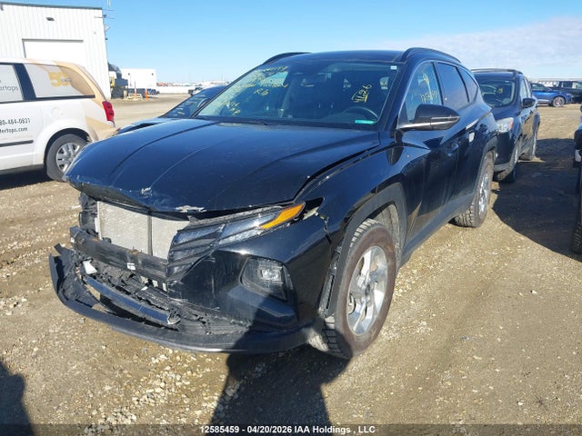 Продаж на аукціоні авто 2023 Hyundai Tucson Preferred Awd With Trend Package, vin: KM8JCCAE5PU219915, номер лоту: 12585459