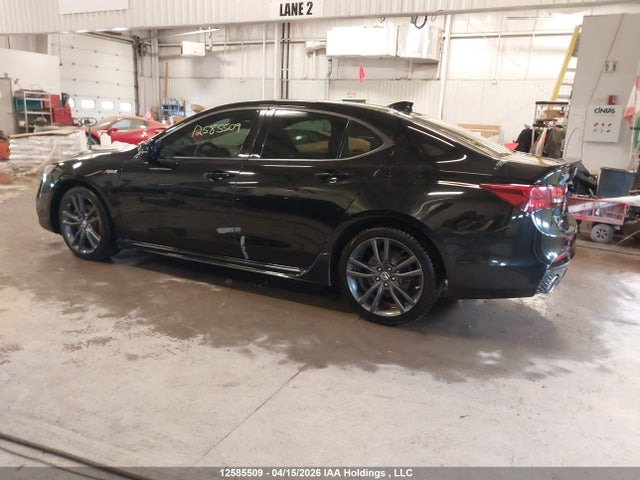 12585509 :رقم المزاد ، 19UUB1F63JA800334 vin ، 2018 Acura Tlx Tech/tech R مزاد بيع