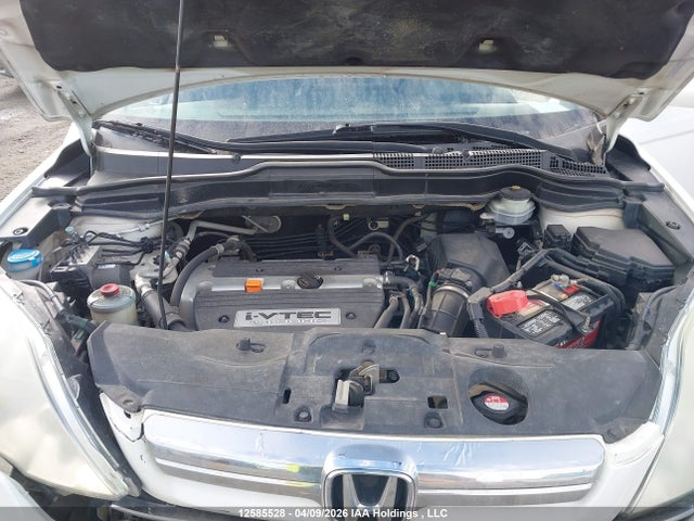 Продаж на аукціоні авто 2008 Honda Cr-v Exl, vin: 5J6RE48738L806386, номер лоту: 12585528