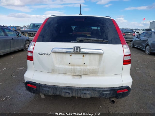 Продаж на аукціоні авто 2008 Honda Cr-v Exl, vin: 5J6RE48738L806386, номер лоту: 12585528