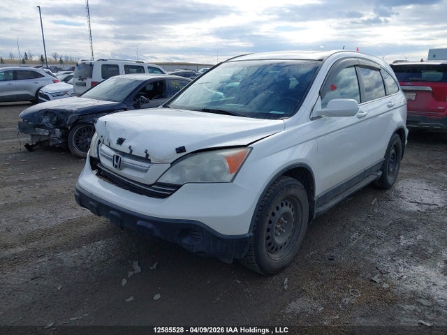 Продаж на аукціоні авто 2008 Honda Cr-v Exl, vin: 5J6RE48738L806386, номер лоту: 12585528