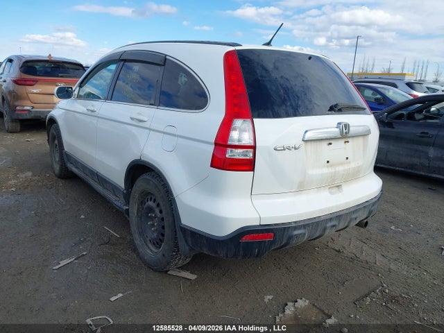 Продаж на аукціоні авто 2008 Honda Cr-v Exl, vin: 5J6RE48738L806386, номер лоту: 12585528