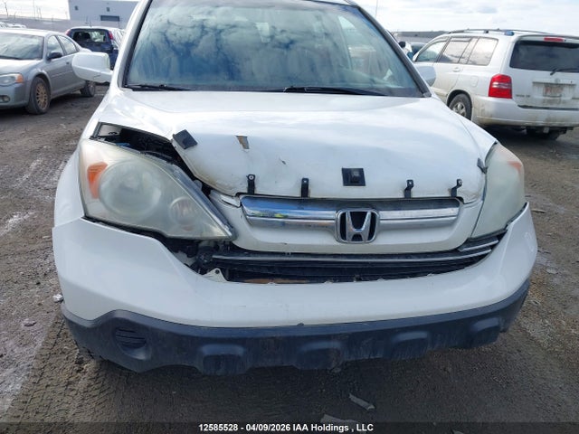Продаж на аукціоні авто 2008 Honda Cr-v Exl, vin: 5J6RE48738L806386, номер лоту: 12585528