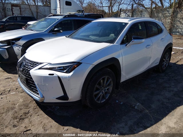 Auction sale of the 2020 Lexus Ux 250h, vin: JTHP9JBH8L2032988, lot number: 12585540