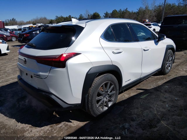 Auction sale of the 2020 Lexus Ux 250h, vin: JTHP9JBH8L2032988, lot number: 12585540