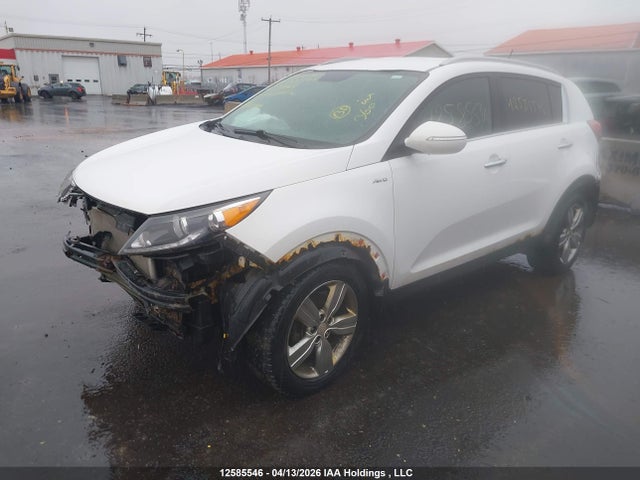 2013 Kia Sportage Ex/ex Luxury/ex W/nav მანქანა იყიდება აუქციონზე, vin: KNDPCCA29D7431442, აუქციონის ნომერი: 12585546