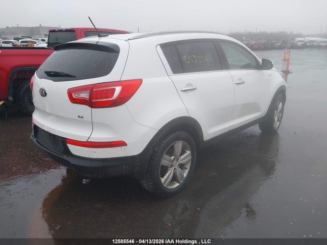 2013 Kia Sportage Ex/ex Luxury/ex W/nav მანქანა იყიდება აუქციონზე, vin: KNDPCCA29D7431442, აუქციონის ნომერი: 12585546