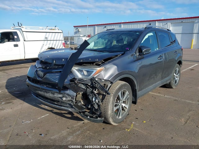 2017 Toyota Rav4 Xle მანქანა იყიდება აუქციონზე, vin: 2T3RFREV5HW651694, აუქციონის ნომერი: 12585561