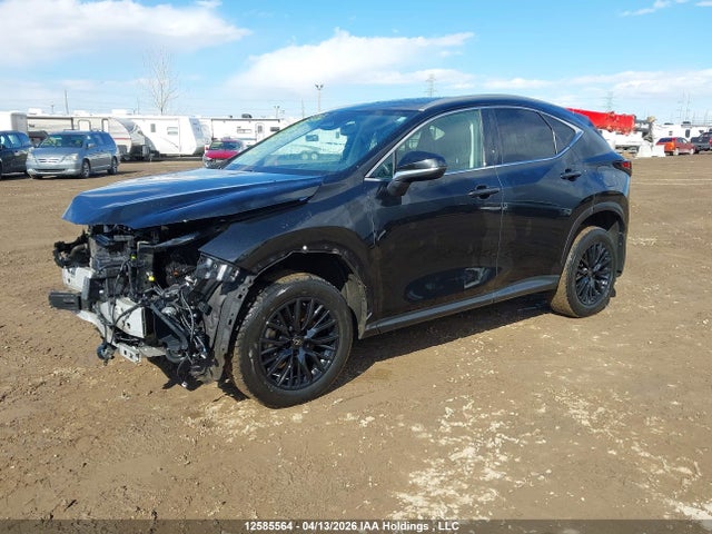 12585564 :رقم المزاد ، 2T2GKCEZ7NC002967 vin ، 2022 Lexus Nx 350h 350h مزاد بيع