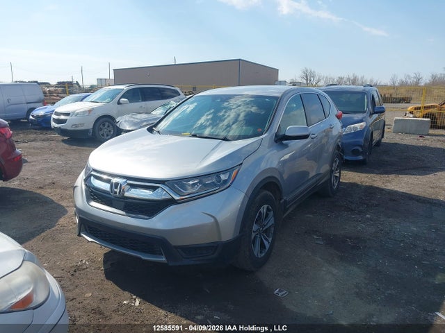 2HKRW2H24KH127704 Honda CR-V