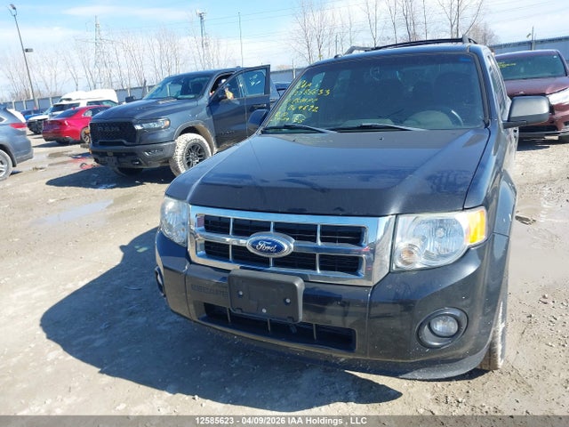 12585623 :رقم المزاد ، 1FMCU0D70BKB49892 vin ، 2011 Ford Escape Xlt مزاد بيع