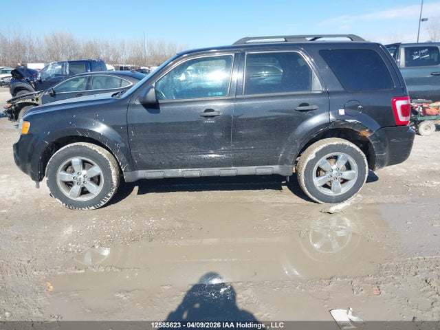12585623 :رقم المزاد ، 1FMCU0D70BKB49892 vin ، 2011 Ford Escape Xlt مزاد بيع