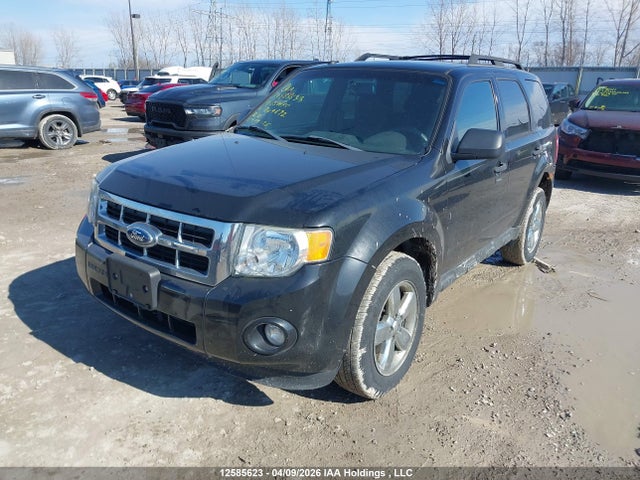 12585623 :رقم المزاد ، 1FMCU0D70BKB49892 vin ، 2011 Ford Escape Xlt مزاد بيع