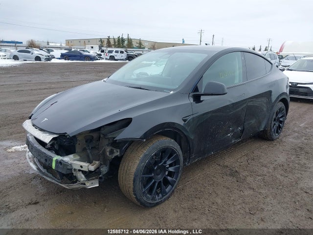 Продаж на аукціоні авто 2022 Tesla Model Y, vin: 7SAYGDEE0NF469594, номер лоту: 12585712