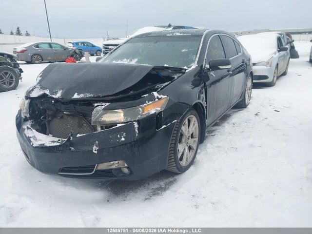 12585751 :رقم المزاد ، 19UUA9F76CA803161 vin ، 2012 Acura Tl Elite مزاد بيع