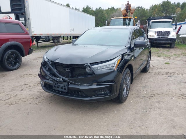5J8TC2H66LL800167 Acura Rdx A-spec