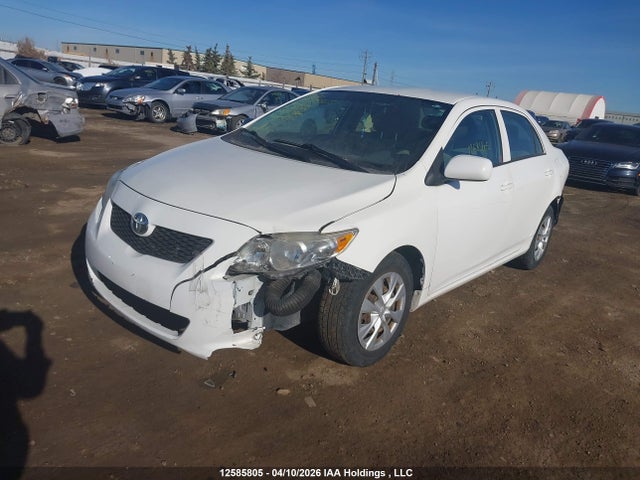 12585805 :رقم المزاد ، 2T1BU4EE0AC363544 vin ، 2010 Toyota Corolla S/le/xle مزاد بيع
