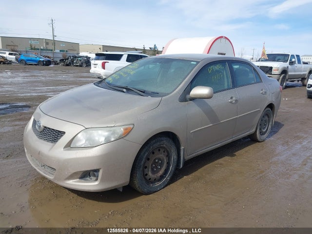 12585826 :رقم المزاد ، 2T1BU40E69C018781 vin ، 2009 Toyota Corolla Le مزاد بيع
