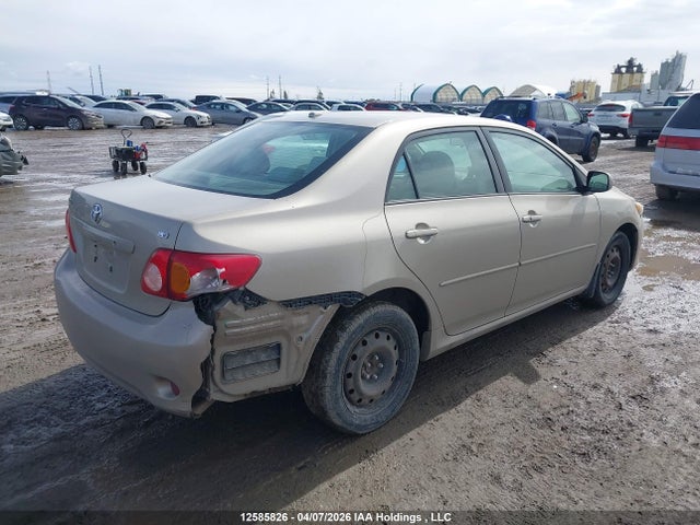 12585826 :رقم المزاد ، 2T1BU40E69C018781 vin ، 2009 Toyota Corolla Le مزاد بيع