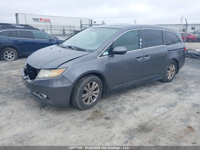 5FNRL5H6XEB504293 Honda Odyssey Ex-l