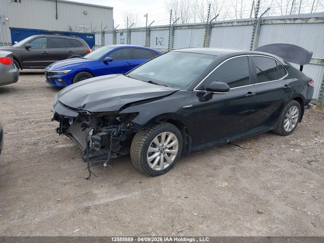 4T1B31HK0JU003109 Toyota Camry Hybrid Le