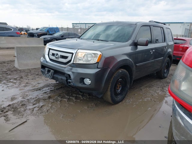 2010 Honda Pilot Ex-l მანქანა იყიდება აუქციონზე, vin: 5FNYF4H55AB505110, აუქციონის ნომერი: 12585878