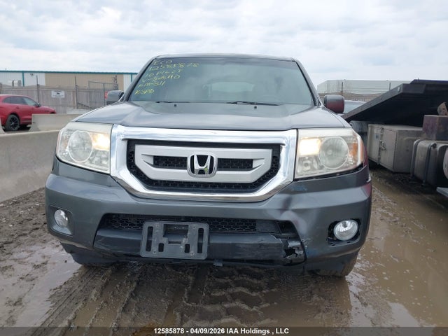 2010 Honda Pilot Ex-l მანქანა იყიდება აუქციონზე, vin: 5FNYF4H55AB505110, აუქციონის ნომერი: 12585878