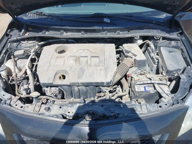 12585888 :رقم المزاد ، 2T1BU40E69C035581 vin ، 2009 Toyota Corolla S/le/xle مزاد بيع