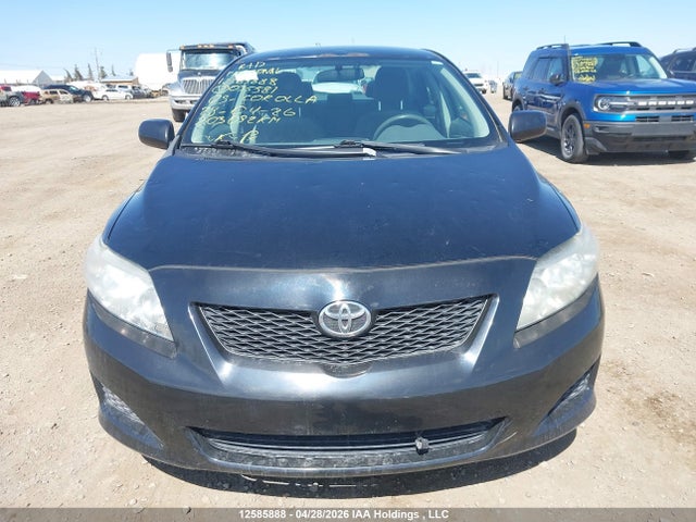 12585888 :رقم المزاد ، 2T1BU40E69C035581 vin ، 2009 Toyota Corolla S/le/xle مزاد بيع