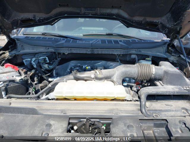 12585899 :رقم المزاد ، 1FTEW3LP2RKF39736 vin ، 2024 Ford F-150 Xlt مزاد بيع