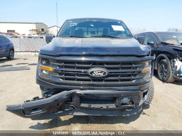 12585899 :رقم المزاد ، 1FTEW3LP2RKF39736 vin ، 2024 Ford F-150 Xlt مزاد بيع