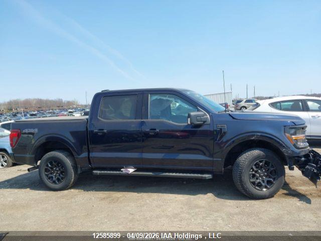 12585899 :رقم المزاد ، 1FTEW3LP2RKF39736 vin ، 2024 Ford F-150 Xlt مزاد بيع