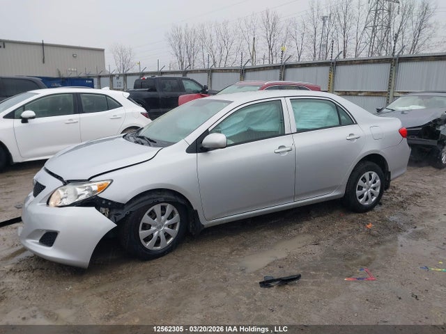 12562305 :رقم المزاد ، 2T1BU4EE4AC214229 vin ، 2010 Toyota Corolla Ce مزاد بيع