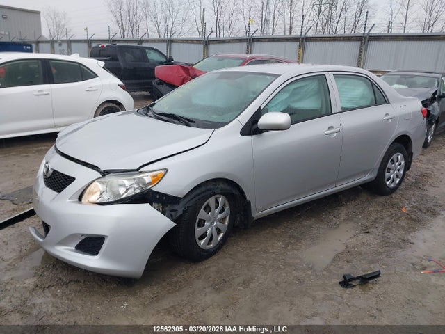 12562305 :رقم المزاد ، 2T1BU4EE4AC214229 vin ، 2010 Toyota Corolla Ce مزاد بيع