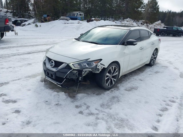 1N4AA6AP3HC372416 Nissan Maxima Platinum/s/sl/sr/sv