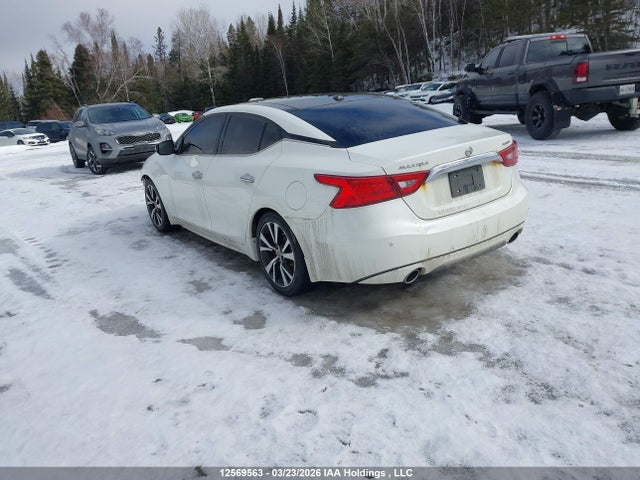 1N4AA6AP3HC372416 Nissan Maxima Platinum/s/sl/sr/sv