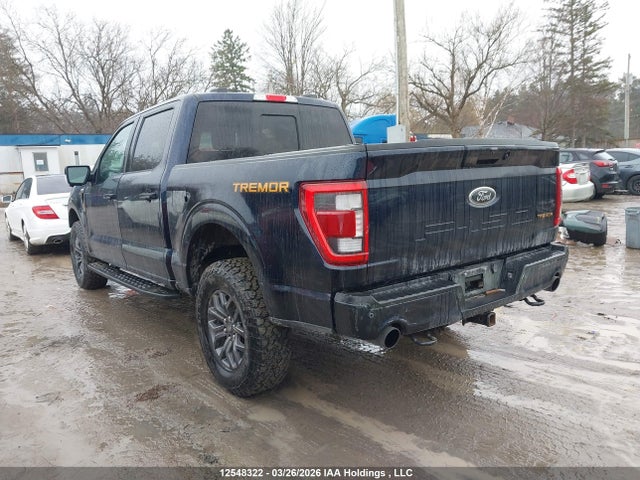 Aukcja sprzedaży 2023 Ford F-150 Tremor, vin: 1FTEW1E82PFB45735, numer aukcji: 12548322