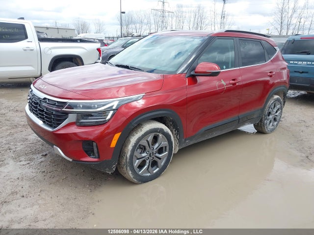 Продаж на аукціоні авто 2024 Kia Seltos, vin: KNDEUCAA9R7508958, номер лоту: 12586098