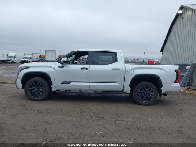 5TFNA5DBXRX220701 Toyota Tundra Crewmax Platinum/crewmax 1794