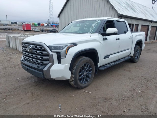 5TFNA5DBXRX220701 Toyota Tundra Crewmax Platinum/crewmax 1794