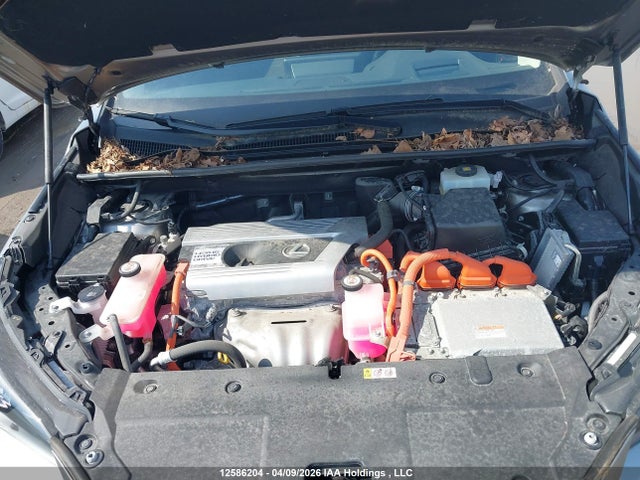 JTJBJRBZ0K2116499 Lexus NX 300H