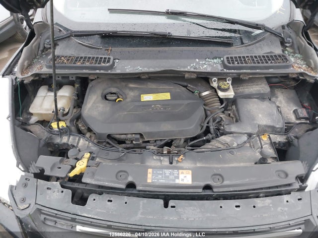 Продаж на аукціоні авто 2014 Ford Escape Se, vin: 1FMCU0GX0EUC55439, номер лоту: 12586226