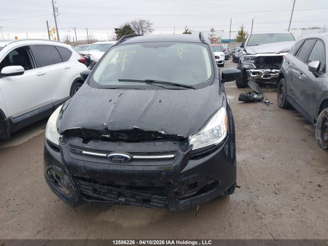 Продаж на аукціоні авто 2014 Ford Escape Se, vin: 1FMCU0GX0EUC55439, номер лоту: 12586226