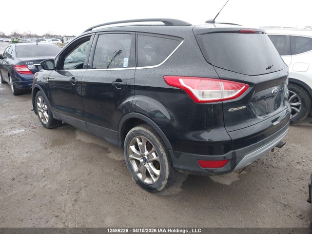 Продаж на аукціоні авто 2014 Ford Escape Se, vin: 1FMCU0GX0EUC55439, номер лоту: 12586226