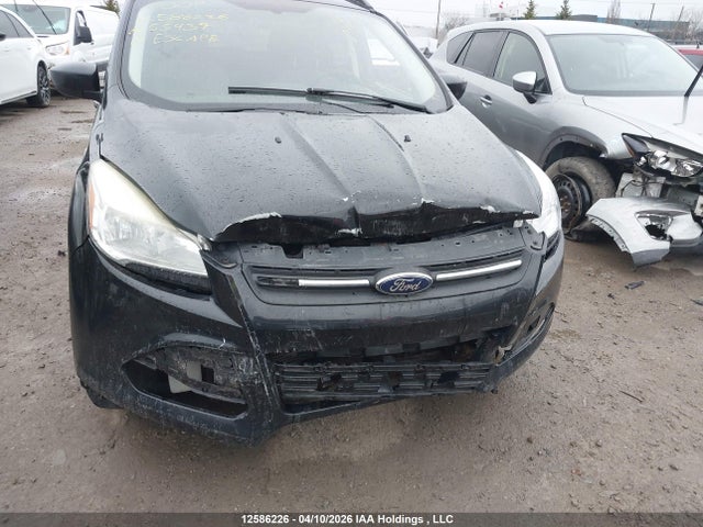 Продаж на аукціоні авто 2014 Ford Escape Se, vin: 1FMCU0GX0EUC55439, номер лоту: 12586226