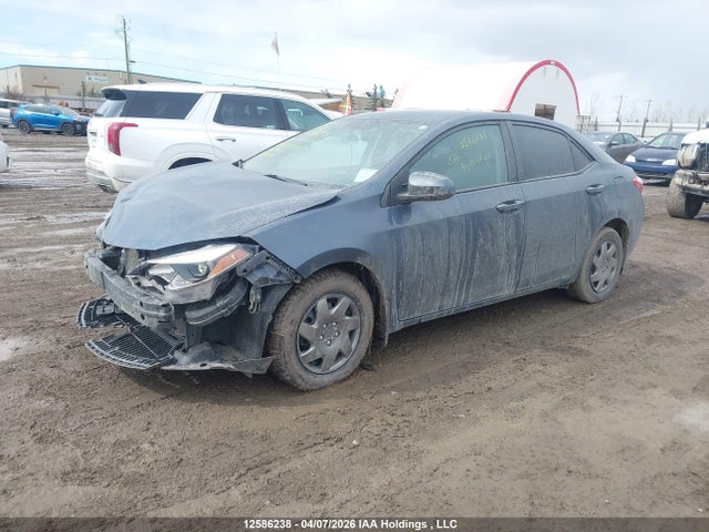 2T1BURHE1GC633897 Toyota COROLLA LE