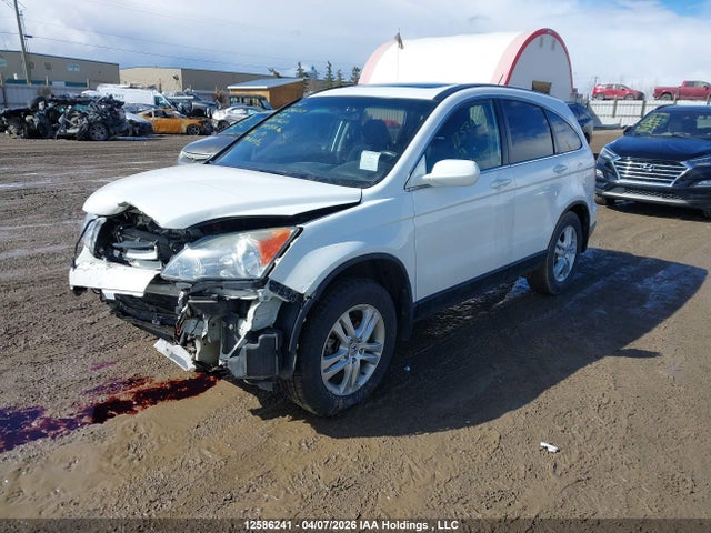 Auction sale of the 2011 Honda Cr-v, vin: 5J6RE3H55BL803683, lot number: 12586241